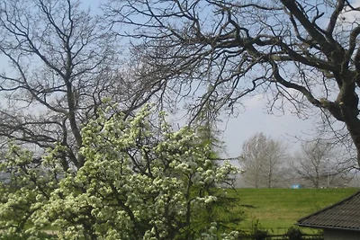 Jade-Blick, Erdgeschoss