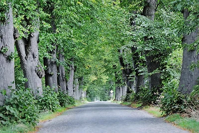 Gutshaus Zicker in Garz