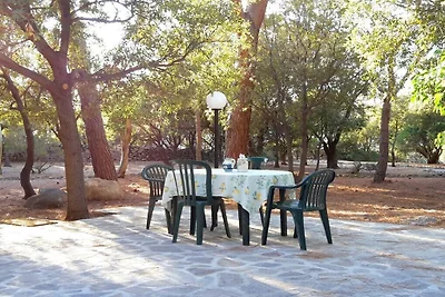 Ferienhaus Erholungsurlaub Marciana