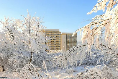 Wohnung in Hohegeiß mit Schwimmbecken