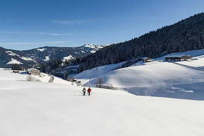 Feriendorf Wildschönau Chalet mit Garten