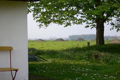 Ferienhaus mit 2 Schlafzimmer