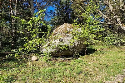 4 Personen Ferienhaus in DJURHAMN