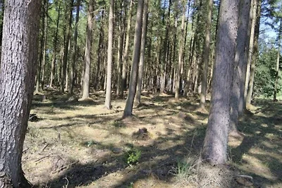 Gemutliches Refugium in Marielyst -- By Traum...