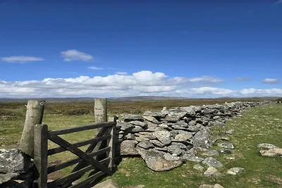 Hütte in Dartmoor mit Landschaftsblick