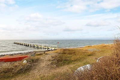 4 Personen Ferienhaus in Assens