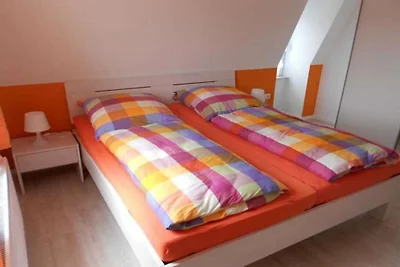 Gabbiano comune nella Haus Glückauf