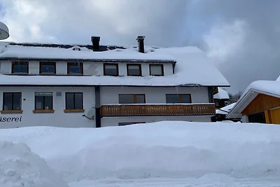 Haus Schmidt Feldberg