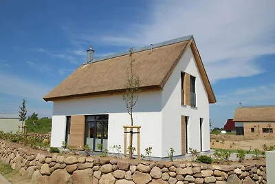 Ferienhaus Fiete in Lancken