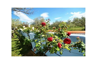 Ferienwohnung mit 1 Schlafzimmer