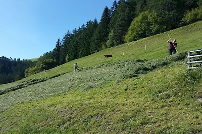 Nella fattoria Maurerhof