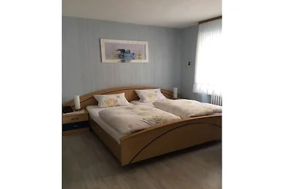 Vakantieappartement in Detze met wifi