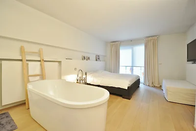 Geräumige Wohnung an der Küste von Duinbergen