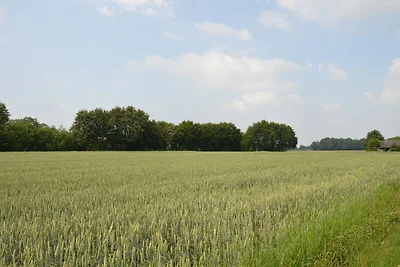 Bauernhaus bei Het Hambroek Geesteren