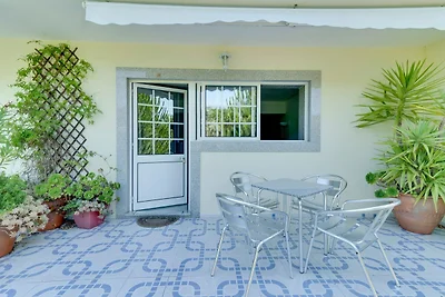 Charmant appartement in Penafiel nabij het...