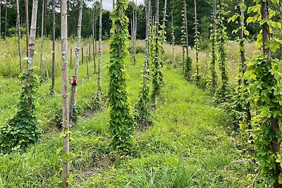 4 Sterne Ferienhaus in SVÄNGSTA