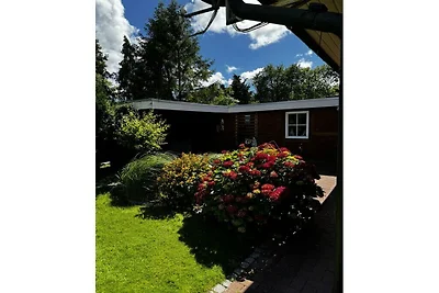 Il sogno di Michael sull'Elba