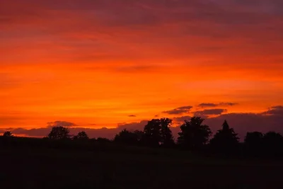 In der Region (Sommer) (>5 km) In der Region (Sommer) (>5 km)