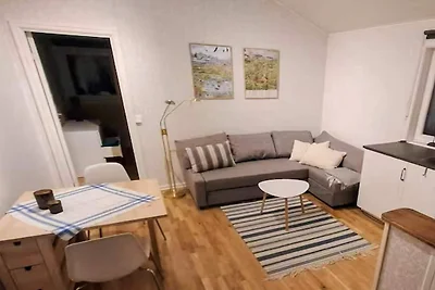 4 esrellas case en SKATTUNGBYN ORSA