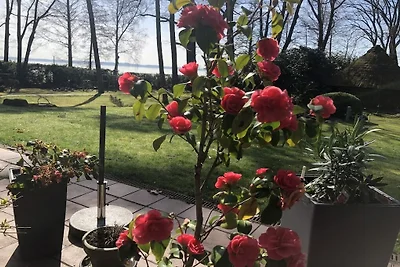 Witte berg aan de Bungeweg