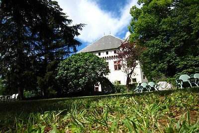 Gerenoveerd kasteel appartement met zwembad