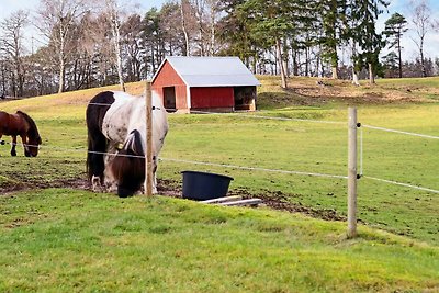 4 Sterne Ferienhaus in MUNKA-LJUNGBY