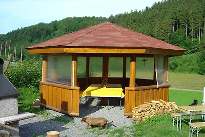 Schwarzwald-Bauernhaus in reizvoller Lage