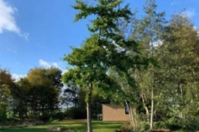 Prachtige tentlodge in Dalerveen met een...