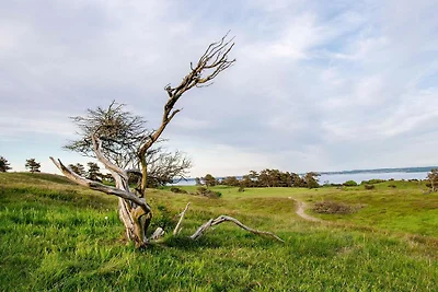 7 Personen Ferienhaus in Knebel-By Traum