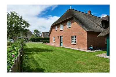 Objekt 55  || South End