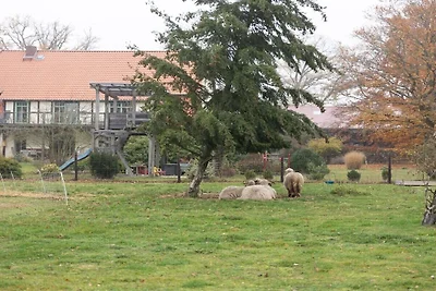 Bos (Vakantie in het bos en op het veld)