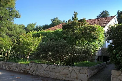 Appartement in Vrbanj met barbecue en wifi.