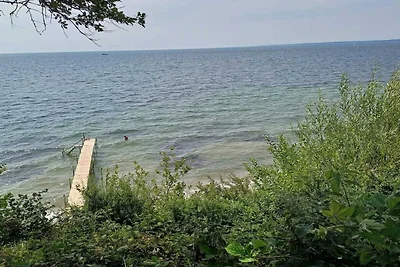 18 persone case ad Faaborg