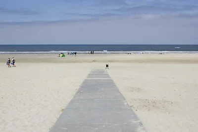 Vakantiehuis op Texel met eigen terras