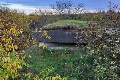 Ritiro spazioso a Stauning -- By Traum...