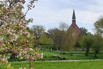 Backsteinhaus Starkow