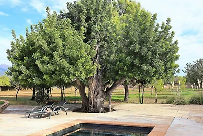 Villa in Binissalem mit Pool und Weinbergen