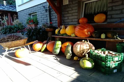 Huis op de weidegrond Weisdin