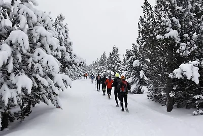 Goelia Residence Het domein van Castella