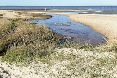 Ritiro di lusso a Romo -- By Traum...