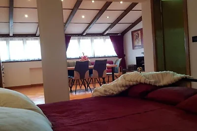 Apartments Alenka - One Bedroom Apartment