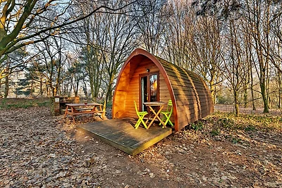 Pod Glamping tranquillo, accetta animali dome...