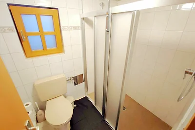 Wohnung in Hippach nahe Skipisten