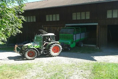 Ferienhof Sommer