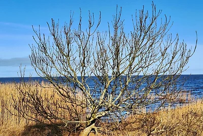 0 Personen vakantie huis in Hemmet