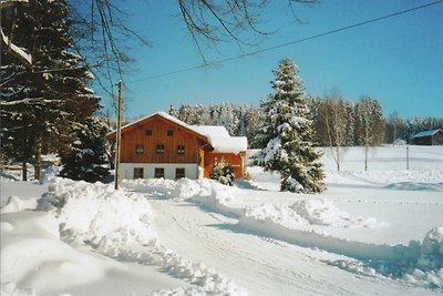 Schönes Ferienhaus in Viechtach in Waldnähe