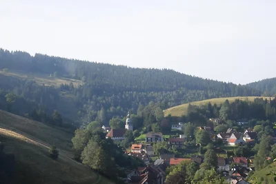 Gemütliche Ferienwohnung im Harz