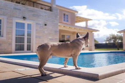 Casa vacanze a Kaštelier con piscina