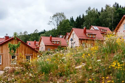 Casa vacanze a Schierke con giardino