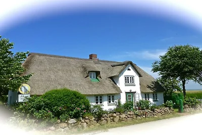 Ferienwohnung in Nebel mit Schwimmbecken